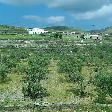 Elli's_house Naousa (Paros)